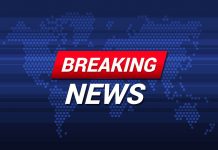 ताडोबा व्याघ्र प्रकल्प परिसरातील ८०० एकर जागेचे होणार पर्यावरणीय पुनरुज्जीवन